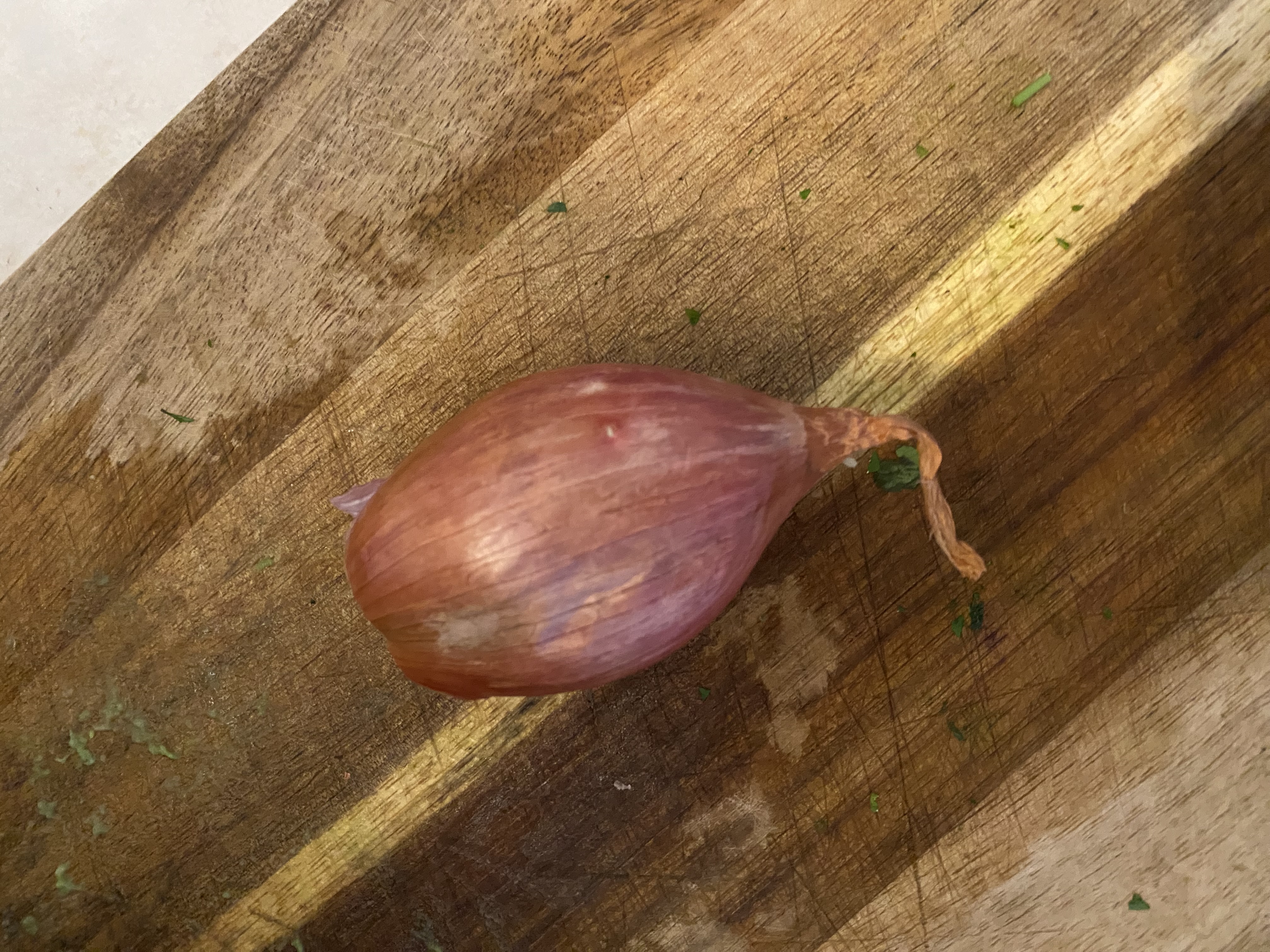 Échalote