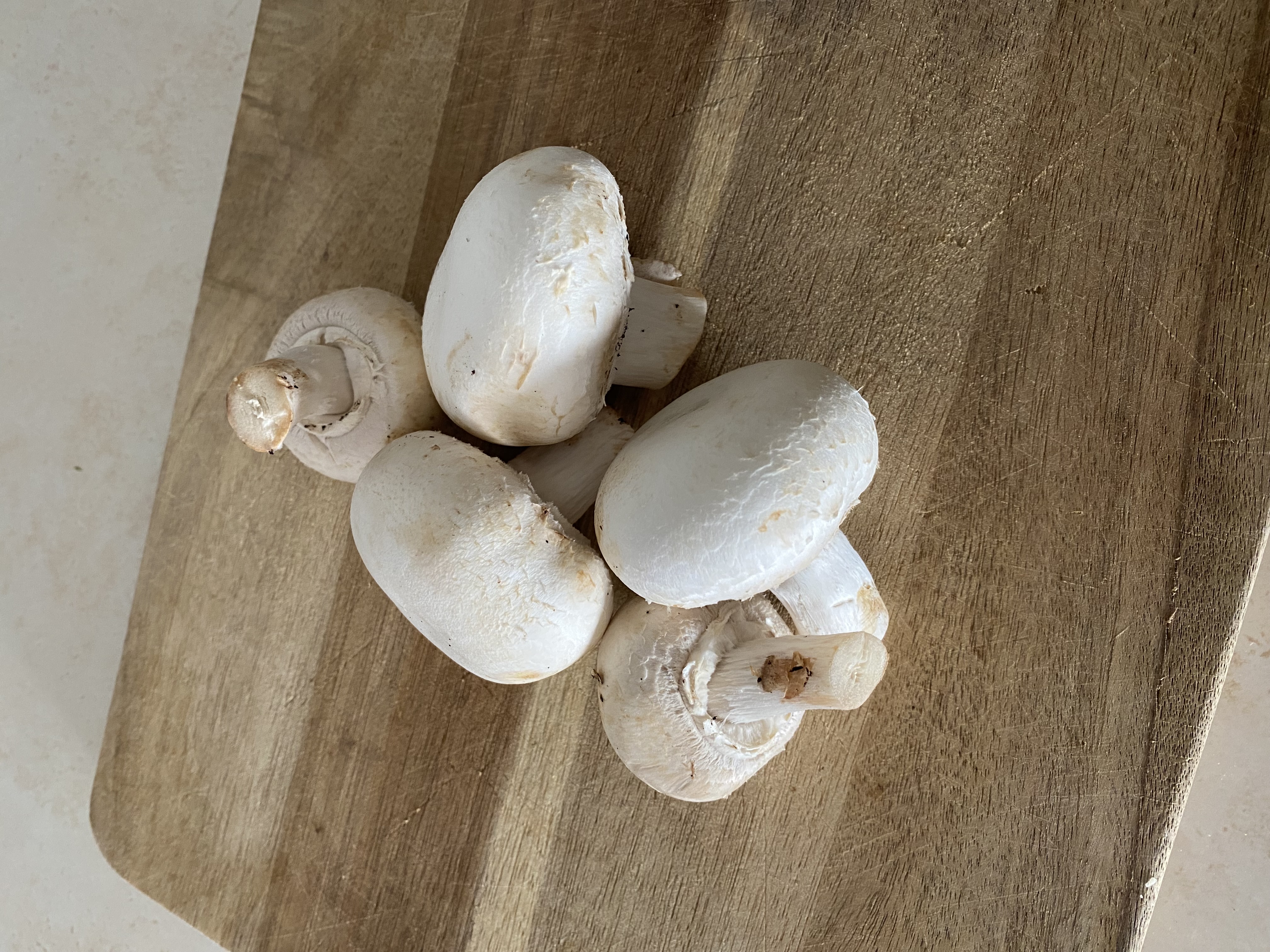 Champignons blancs
